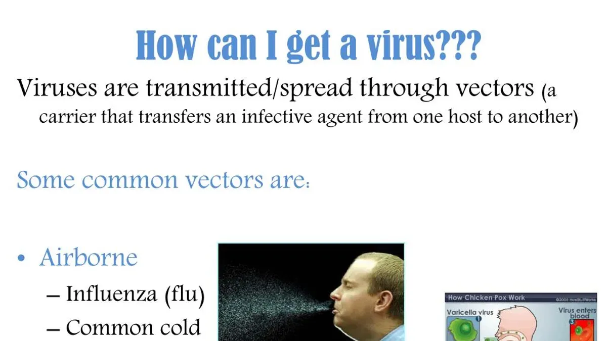 How Malware Could Exploit JPEG Files: The Real but Rare Scenarios – Can you get a virus from a JPEG image