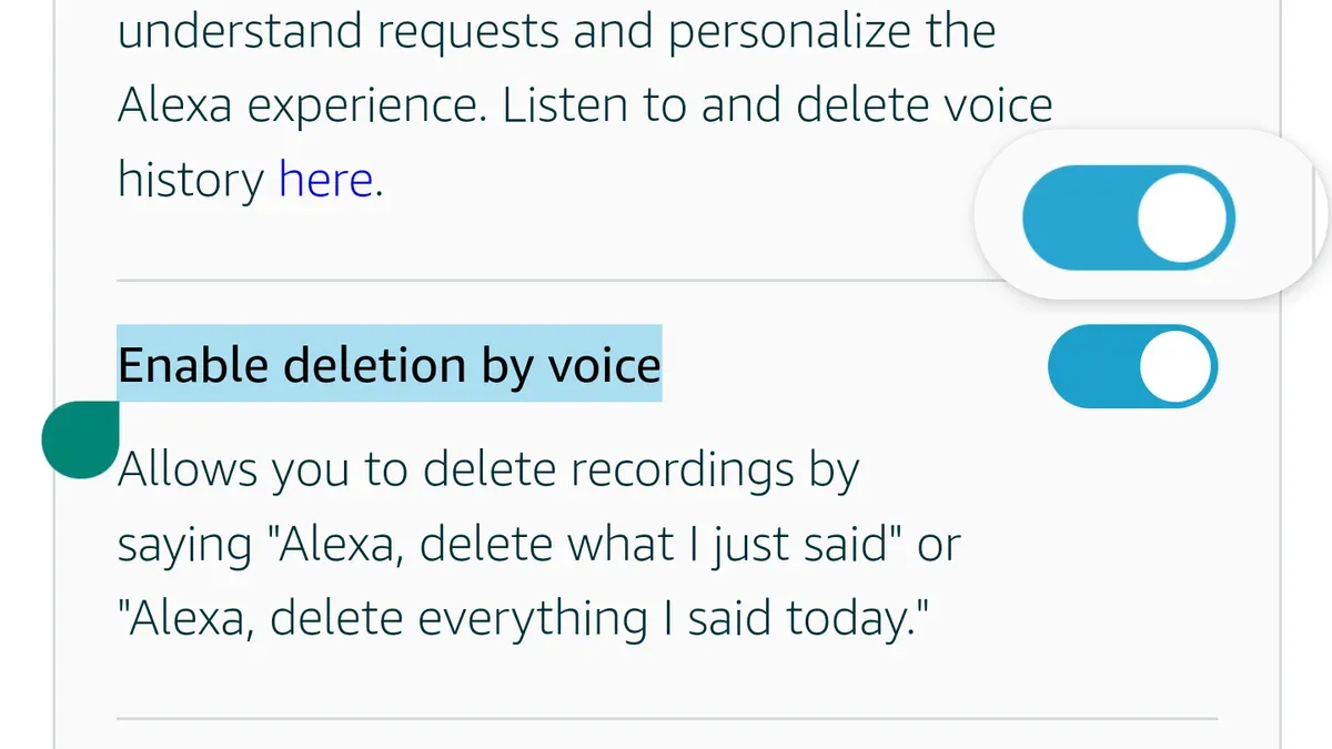 How to delete alexa voice recordings from the Amazon website – how to delete Alexa recordings