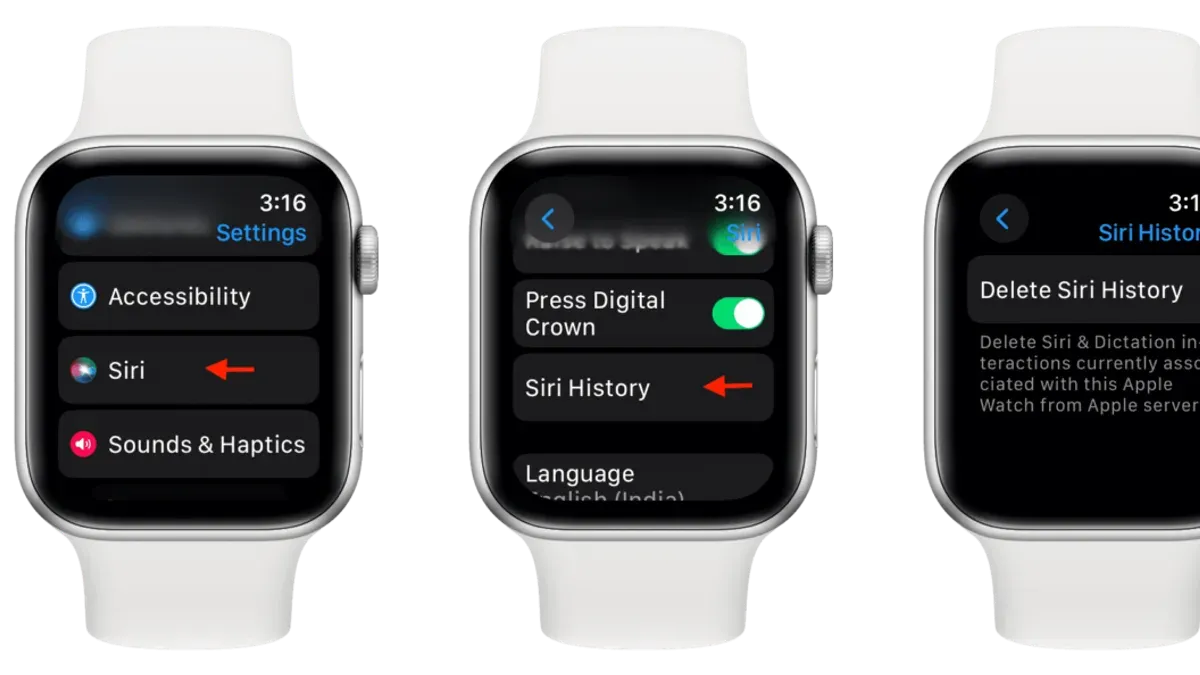 How to delete Siri history on Apple Watch – how to delete Siri history