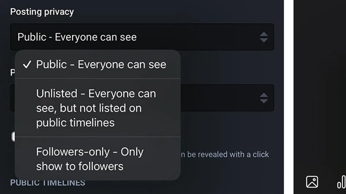 Which VPN is best for privacy when using Mastodon? – Mastodon privacy settings