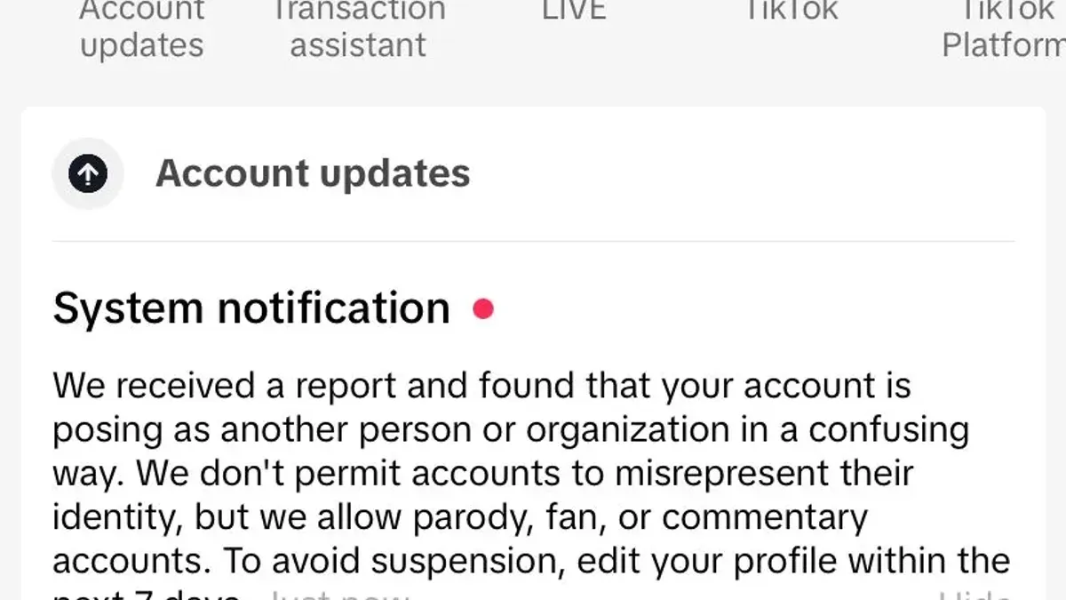 How to report harassment on TikTok linked to impersonation – how to report impersonation on TikTok