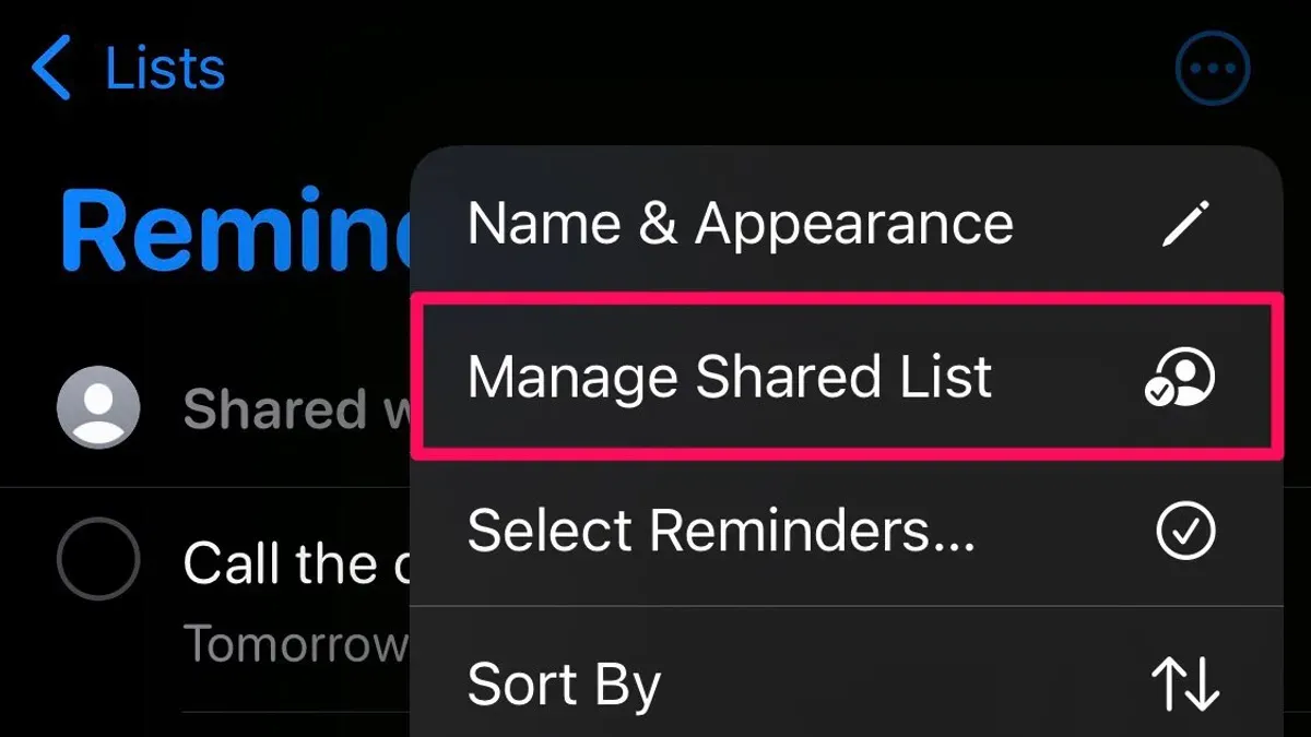 How to manage shared reminders list permissions and collaborators – how to share a reminders list in Reminders on Mac