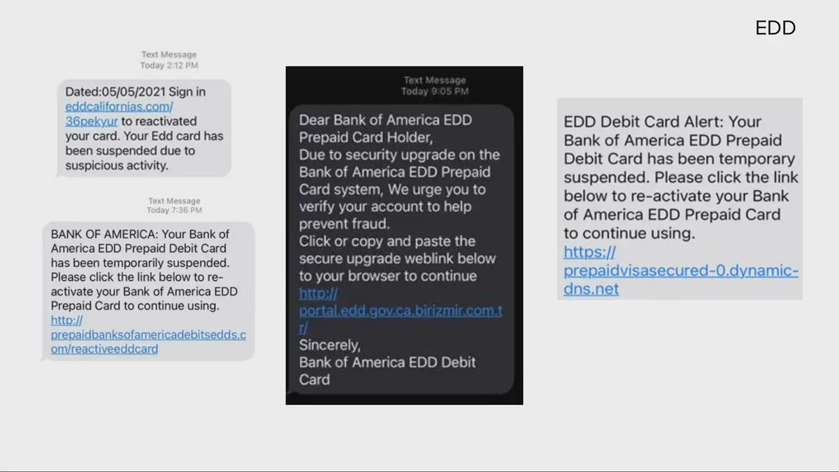 Person reviewing a suspicious Bank of America scam text message on smartphone