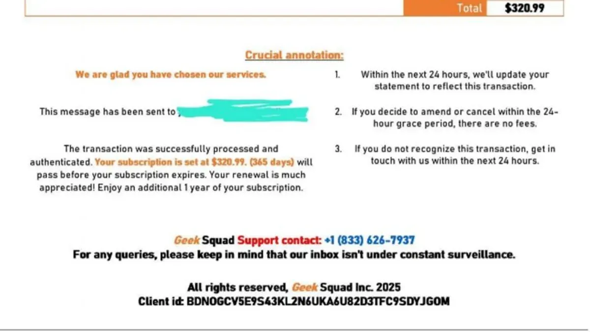 Person identifying a Geek Squad scam email on laptop screen