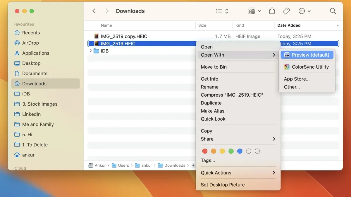 Opening.heic file on Mac screen showing image preview