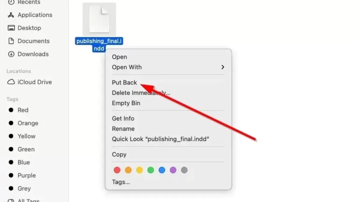 MacBook displaying how to open.indd file on Mac with design software visible