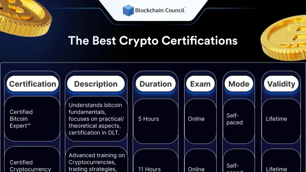 Cryptographer working on laptop with encryption code, representing best certifications for cryptographer