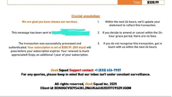 Person identifying a Geek Squad scam email on laptop screen