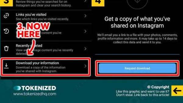 Person downloading Instagram data on laptop showing Instagram data download process