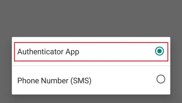 Person troubleshooting LinkedIn two-factor authentication code not working on smartphone