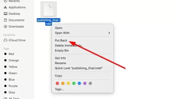 MacBook displaying how to open.indd file on Mac with design software visible