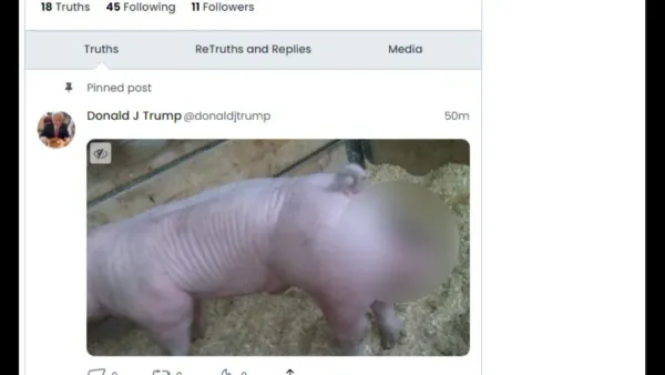 User securing a Truth Social account hacked on a smartphone